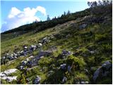 Planina Loka - Kup (na Raduhi)